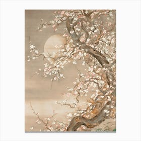 Cherry Blossom Tree 14 Canvas Print