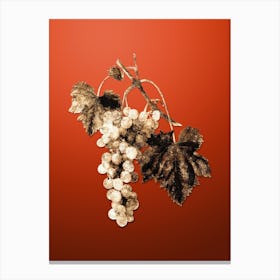 Gold Botanical Muscat Grape on Tomato Red n.4846 Canvas Print