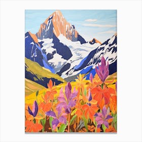 Aoraki New Zealand 4 Colourful Mountain Illustration Canvas Print