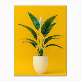 Plant In A Pot On Yellow Background Canvas Print