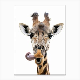 Giraffe With Tongue Sticking Out Photo Canvas Print