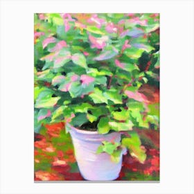 Coleus Impressionist Painting Plant Canvas Print