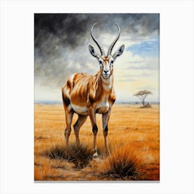 Grants Gazelle Chalk Style Canvas Print