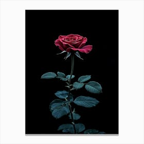 Dark Rose 122 Canvas Print