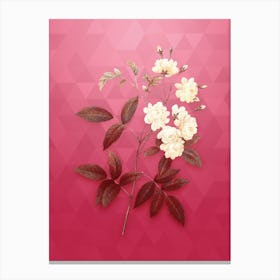 Vintage Lady Banks' Rose Botanical in Gold on Viva Magenta n.0789 Canvas Print