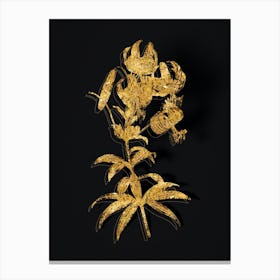 Vintage Turban Lily Botanical in Gold on Black Canvas Print