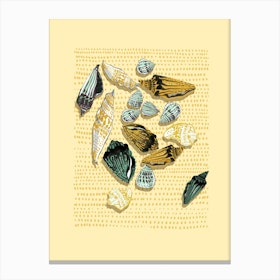 Shells In Yellow Tones Canvas Print