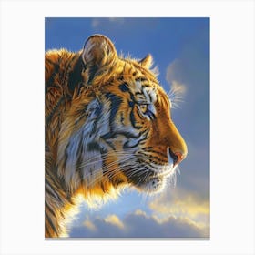 Tiger 64 Canvas Print