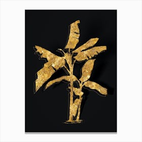 Vintage Scarlet Banana Botanical in Gold on Black n.0163 Canvas Print