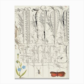 Creeping Forget Me Not, Insect, And Planthopper From Mira Calligraphiae Monumenta, Joris Hoefnagel Canvas Print