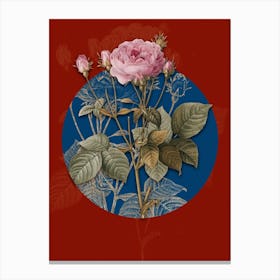 Vintage Botanical Pink French Roses on Circle Blue on Red n.0013 Canvas Print
