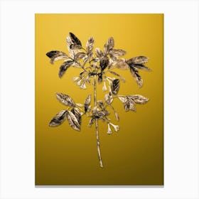 Gold Botanical Honeyberry Flower on Mango Yellow n.2718 Canvas Print