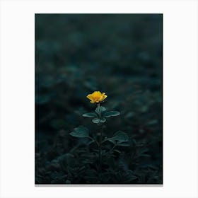 Single Yellow Flower 46 Canvas Print