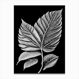 Slippery Elm Leaf Linocut Canvas Print