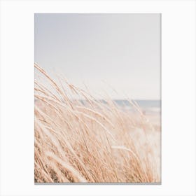 Beach Grass Canvas Print