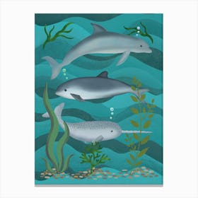 Dolphin, Narwhal And Porpoise Underwater Canvas Print
