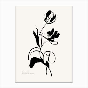 Black And White Tulips Canvas Print