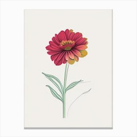Zinnia Floral Minimal Line Drawing 1 Flower Canvas Print