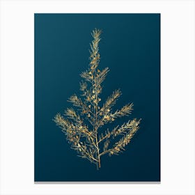 Vintage Sea Asparagus Botanical in Gold on Teal Blue Canvas Print