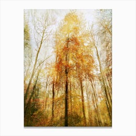 Tree Of Gold Canvas Print