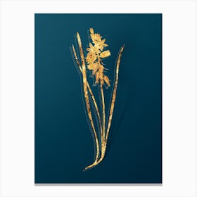 Vintage Drooping Star of Bethlehem Botanical in Gold on Teal Blue n.0335 Canvas Print