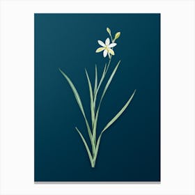 Vintage Ixia Anemonae Flora Botanical Art on Teal Blue n.0021 Canvas Print