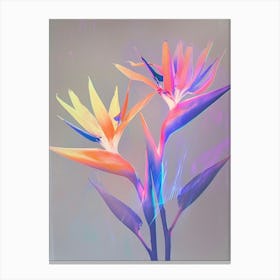Iridescent Flower Bird Of Paradise 2 Canvas Print