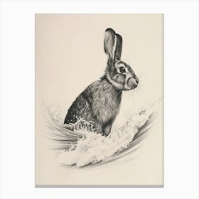 Californian Rabbit Drawing 2 Canvas Print