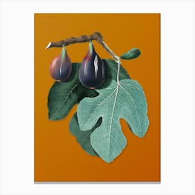 Vintage Fig Botanical on Sunset Orange Canvas Print