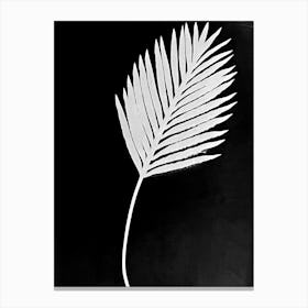 Black white palm leaf 1 Canvas Print