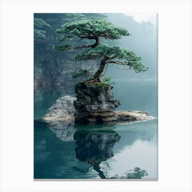 Pine Tree On A Rock 1 Canvas Print