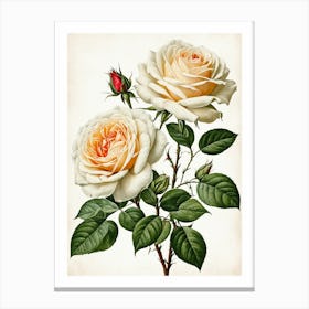 Vintage Galleria Style Rose Art Painting 21 Canvas Print