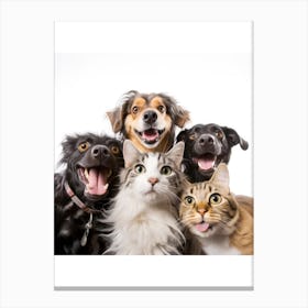 Group Of Pets Greeting Card, pet portrait, dog portraits, animal portraits, artistic pet portraits, dog portrait painting, pet portrait painting, pet portraits from photos, etsypet portraits, watercolor pet portrait, watercolour pet portraits, pet photo portraits, watercolor portraits of pets, royal pet portraits, pet portraits on canvas, pet canvas art, etsy dog portraits, dog portraits funny, renaissance pet portraits, regal pawtraits, funny dog portraits, custom pet art, custom pet, portrait of my dog, custom pet portrait canvas, crown and paw pet portraits, painting of your pet, renaissance dog painting, west willow pet portraits, hand painted dog portraits, ai pet portrait, Canvas Print