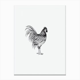 Rooster B&W Pencil Drawing 1 Bird Canvas Print