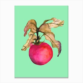 Tomato In Watercolors Canvas Print