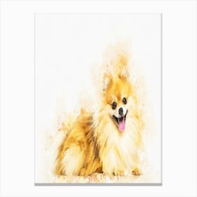 Pomeranian Dog 2 Canvas Print