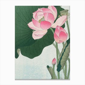 Lotus Flower 1 Canvas Print