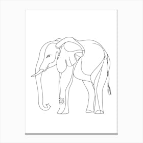 Line Drawing Of An Elephant Canvas Print