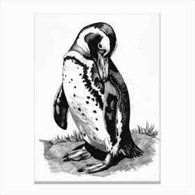 African Penguin Preening Their Feathers 4 Canvas Print