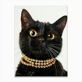 Cat With Gold Necklace Canvas Print