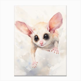 Light Watercolor Painting Of A Sugar Glider 4 Canvas Print