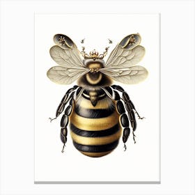 Queen Bee 2 Vintage Canvas Print