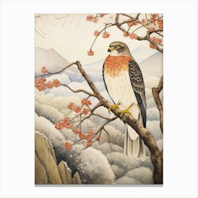 Bird Illustration Eurasian Sparrowhawk 4 Canvas Print
