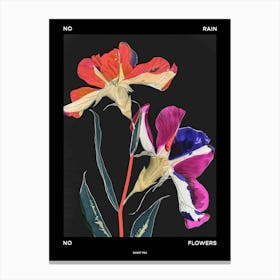 No Rain No Flowers Poster Sweet Pea 4 Canvas Print