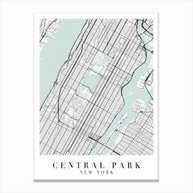 Central Park New York Street Map Minimal Color Canvas Print