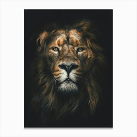 Lion Portrait 1 Canvas Print