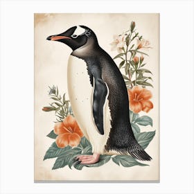 Adlie Penguin Stewart Island Ulva Island Vintage Botanical Painting 3 Canvas Print