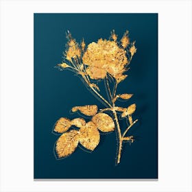 Vintage Pink Cumberland Rose Botanical in Gold on Teal Blue n.0035 Canvas Print
