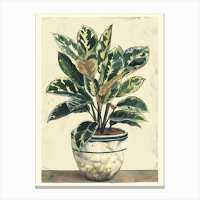 Plant In A Pot 14 Canvas Print