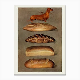 Bread And Dachshund Canvas Print